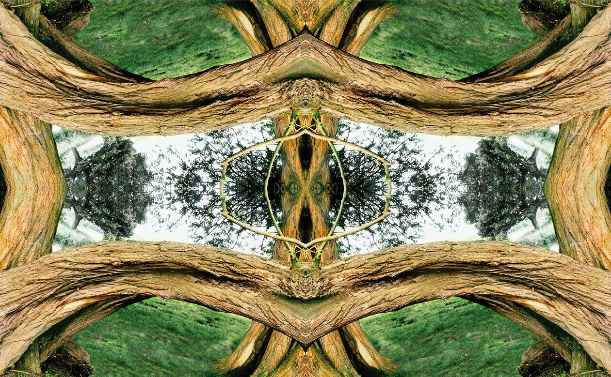 Unnatural 37（デジタル処理された写真） 作： ジョヴァンニ・カファーニャ