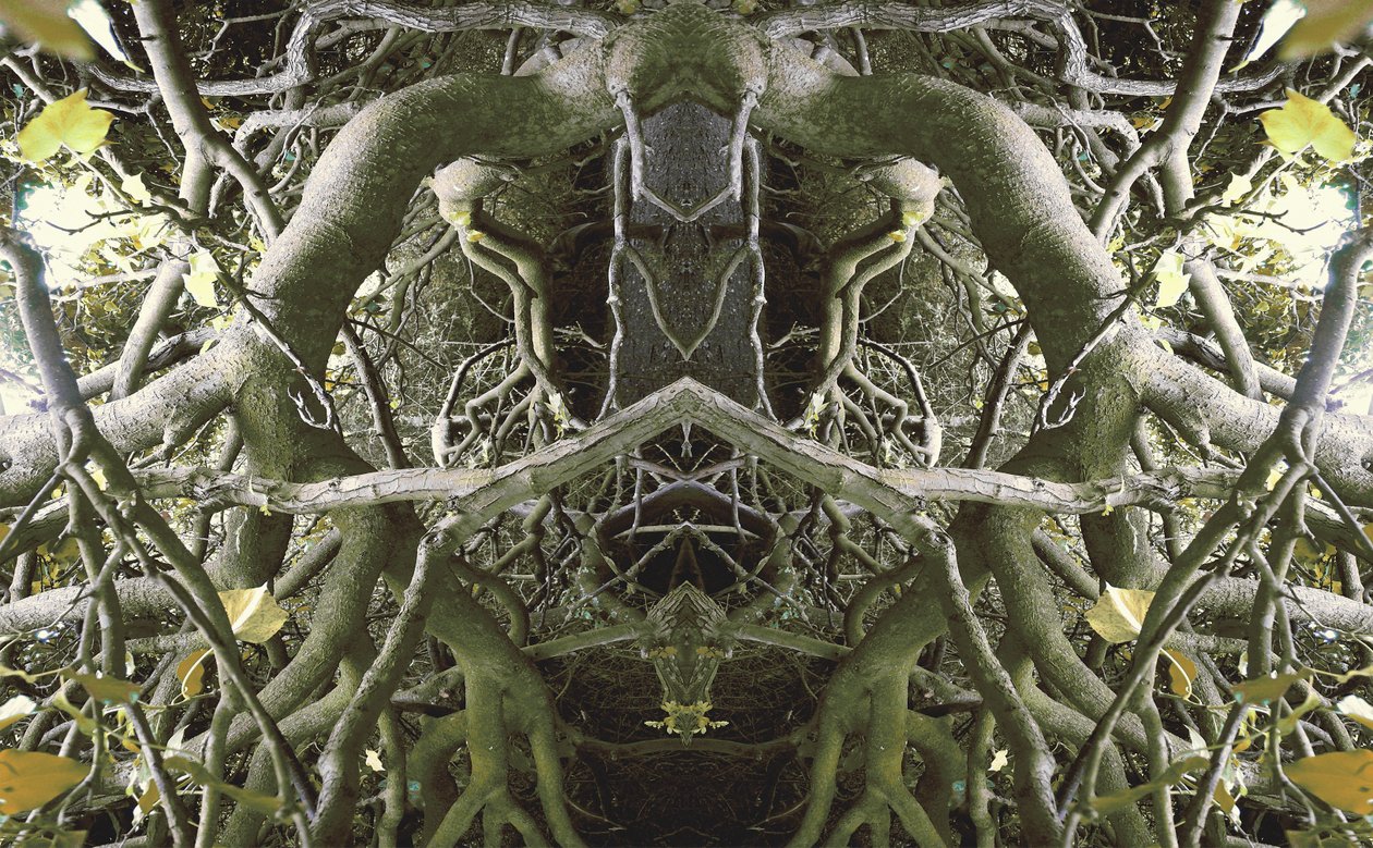 Unnatural 41（デジタル処理された写真） 作： ジョヴァンニ・カファーニャ
