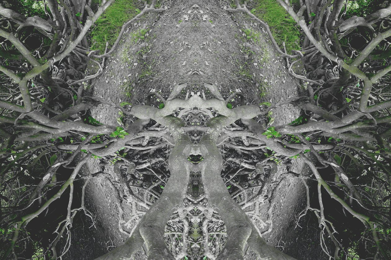 Unnatural 42（デジタル処理された写真） 作： ジョヴァンニ・カファーニャ