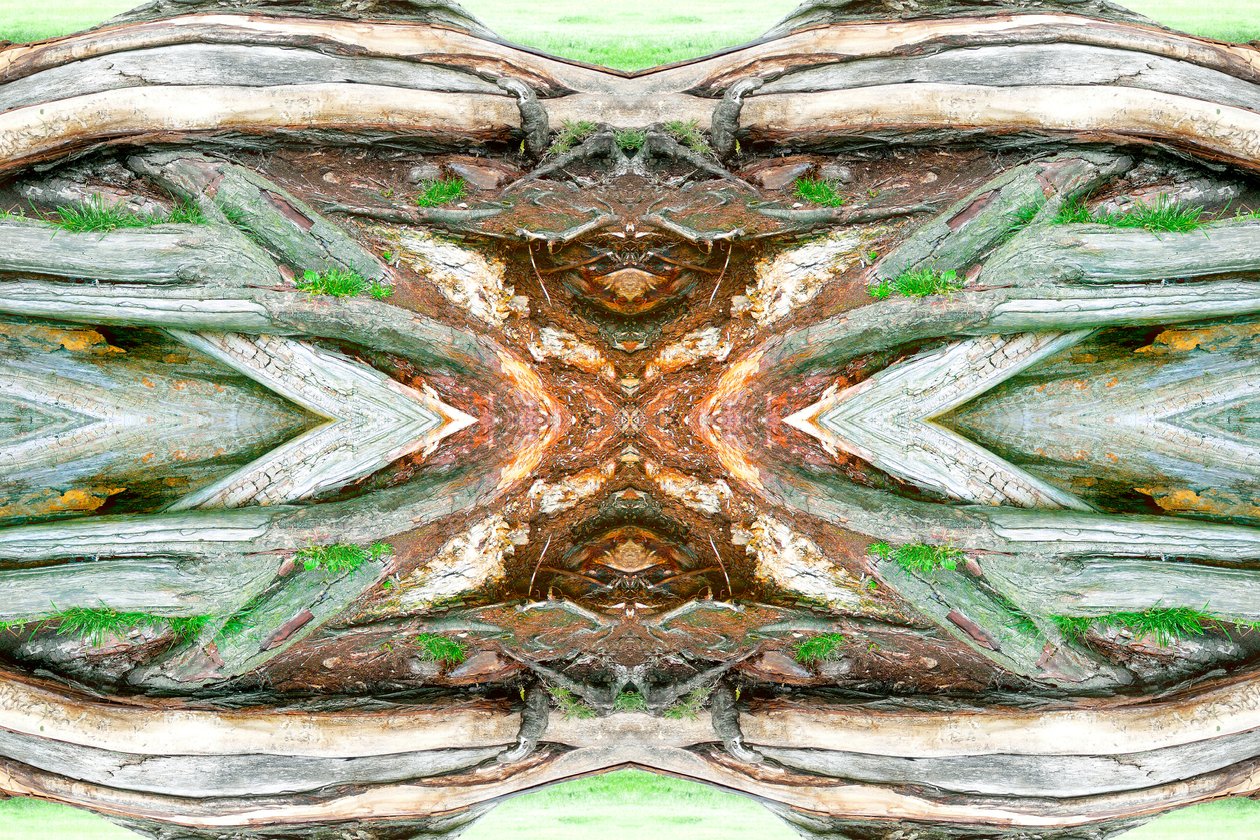 Unnatural 64（デジタル処理された写真） 作： ジョヴァンニ・カファーニャ