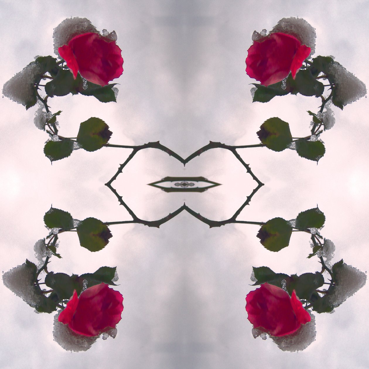 Unnatural 80（デジタル処理された写真） 作： ジョヴァンニ・カファーニャ