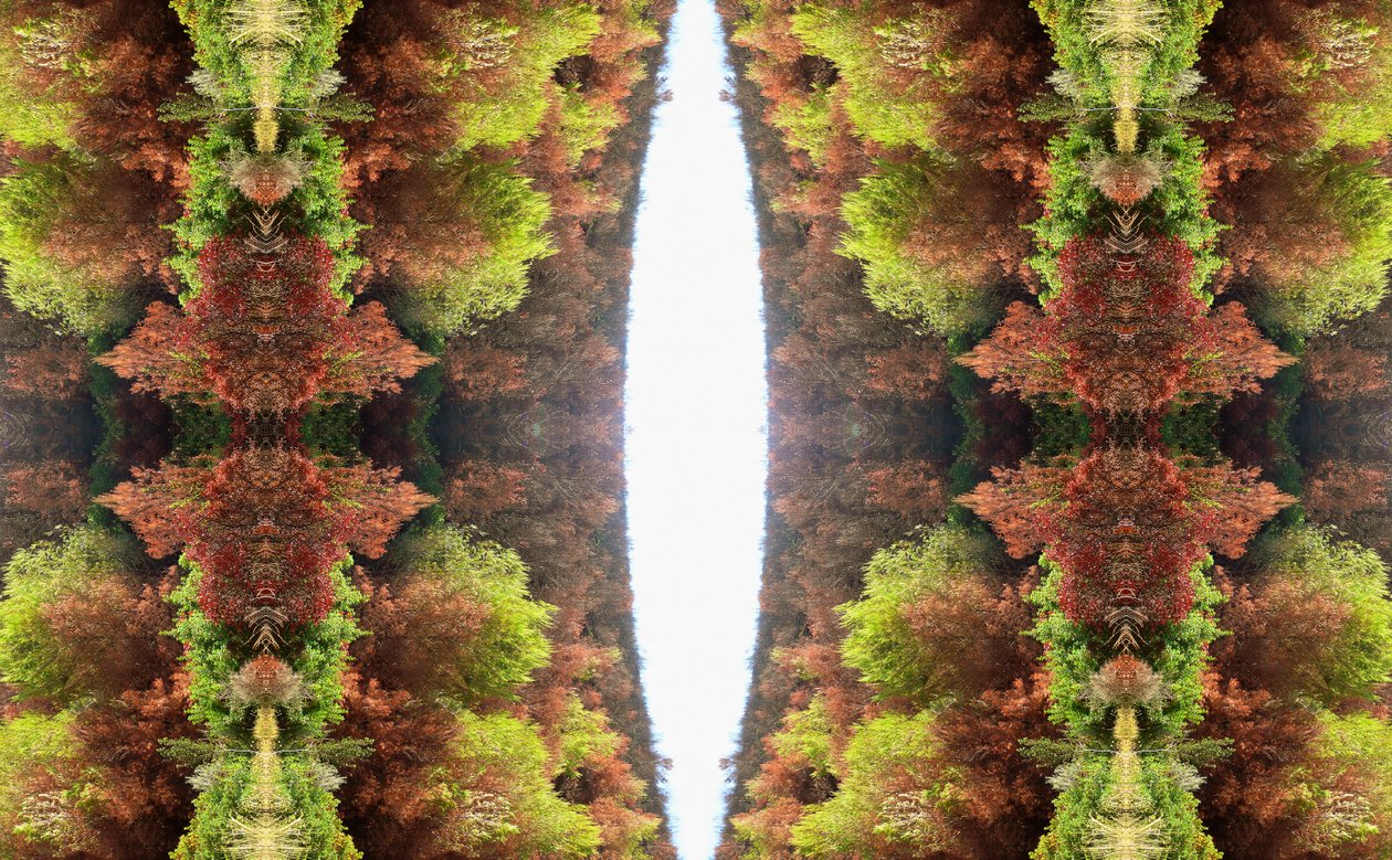 Unnatural 81（デジタル処理された写真） 作： ジョヴァンニ・カファーニャ