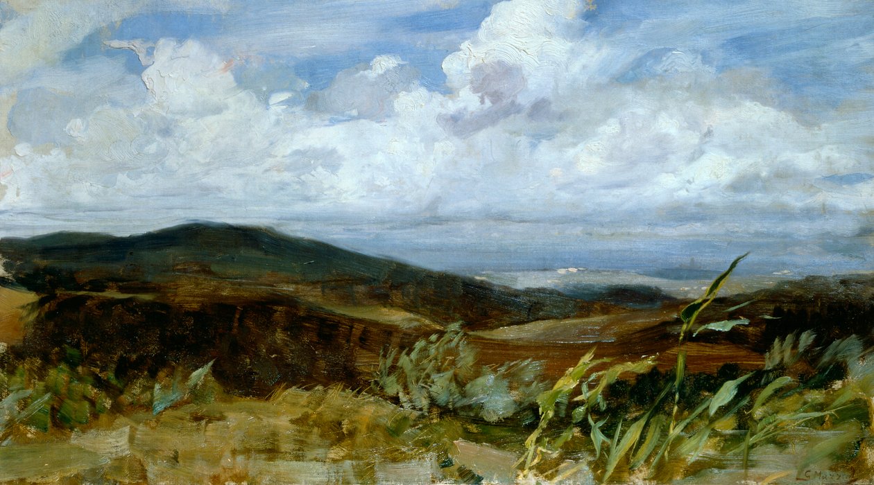 ジョヴァンニ・ムッツィオーリ（1854-1894）の「風景」、油彩、キャンバス、39x68cm 作： ジョバンニ・ムッツィオーリ