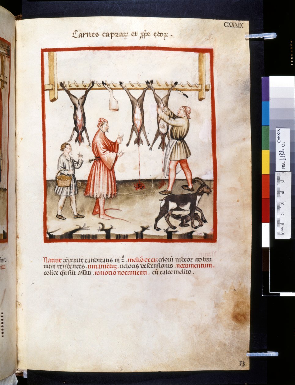 ウブブチャシム・デ・バルダッハ作『Theatrum sanitatis』：「Carnes Caprarum et Pulpe Edorum」、14世紀最初の10年間（細密画） 作： ジョバンニーノ デ (学校) グラッシ