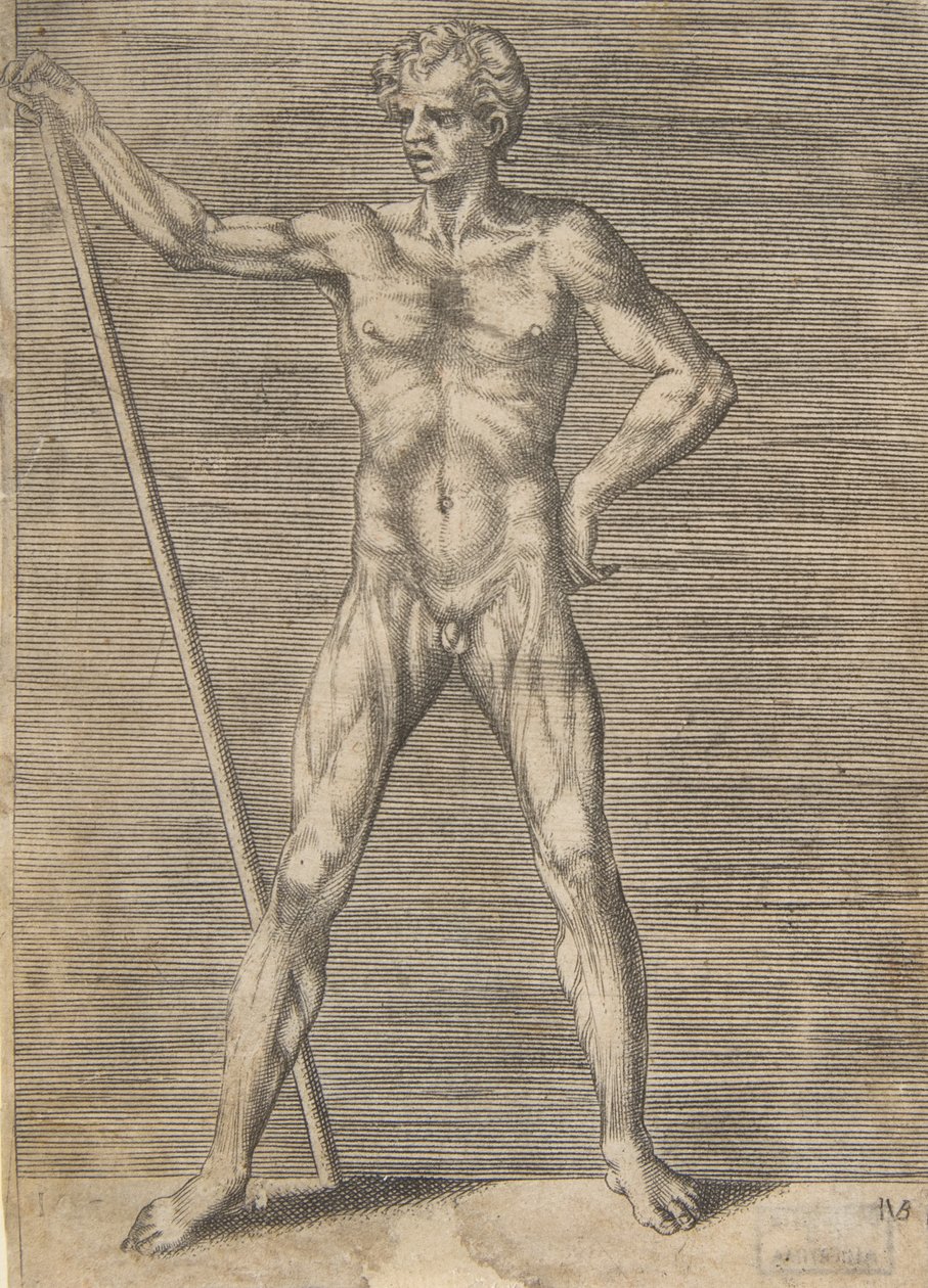 むき出しの男が棒を持って正面から見た、ca. 1531-76。 作： ジュリオ・ボナソーネ