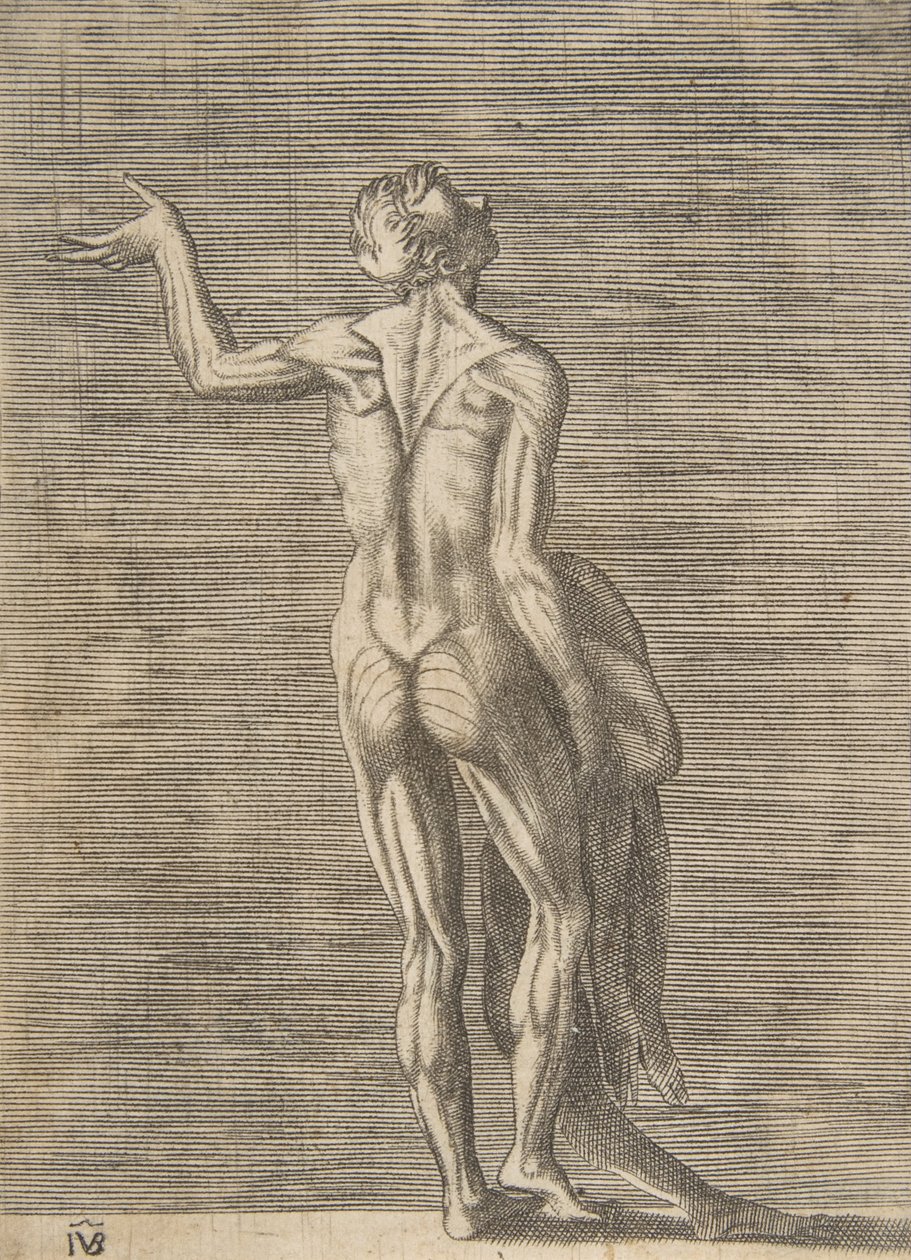 左手を腰に当て、皮を剥いだ男性、右手に皮膚を持っています。 1531-76。 作： ジュリオ・ボナソーネ