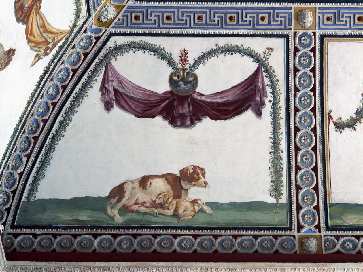 Camera con Fregio di Amorini Chamber of the Cupid Frieze犬と子犬のディテール、1520年代のフレスコ画 作： ジュリオ・ロマーノ