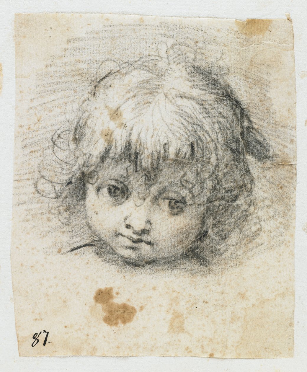 Portrait of a Child (black chalk)   1398591   ja       japanese Successfully Translated  Original: Circle X, 2005 (digital c-type photogram) Translat: Circle X, 2005 (digital c-type photogram) 1429014 ja japanese Successfully Translated Original: Doronicum 作： ジュゼッペ・セザーリ