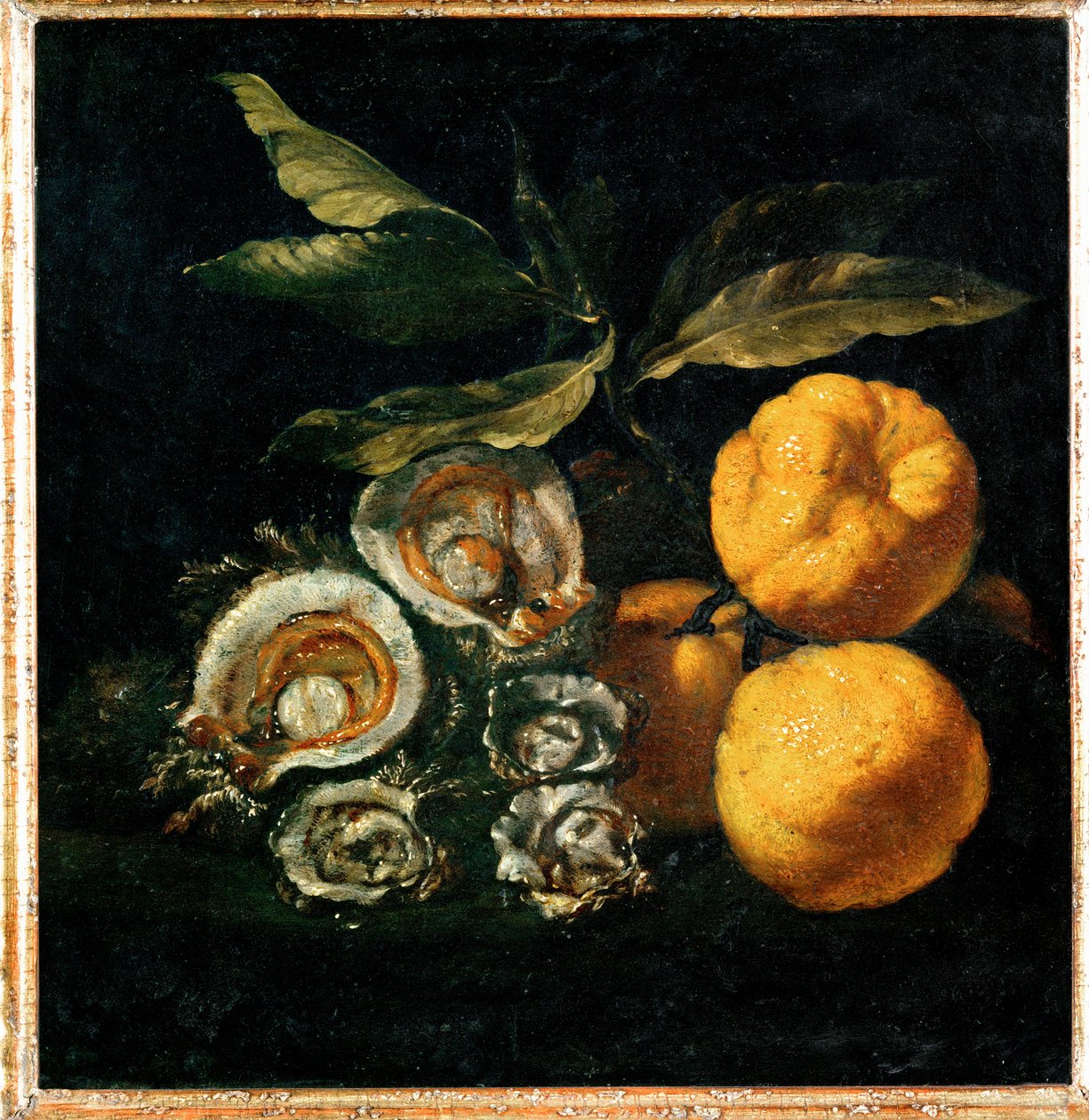 牡蠣とカリンの静物画 - Nature Morte aux huitres et aux coings ... 作： ジュゼッペ・レッコ