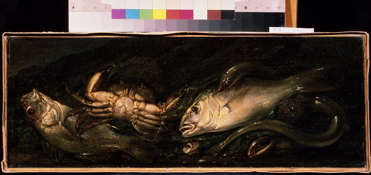 ジュゼッペ・レッコ作「魚とカニのある静物」（1634-1695）ミハイル・クロシツキー美術館、セヴァストポリ（セヴァストポリ）ウクライナ 作： ジュゼッペ・レッコ