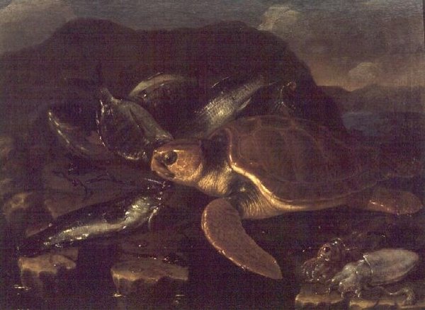魚と亀のいる静物画 作： ジュゼッペ・レッコ