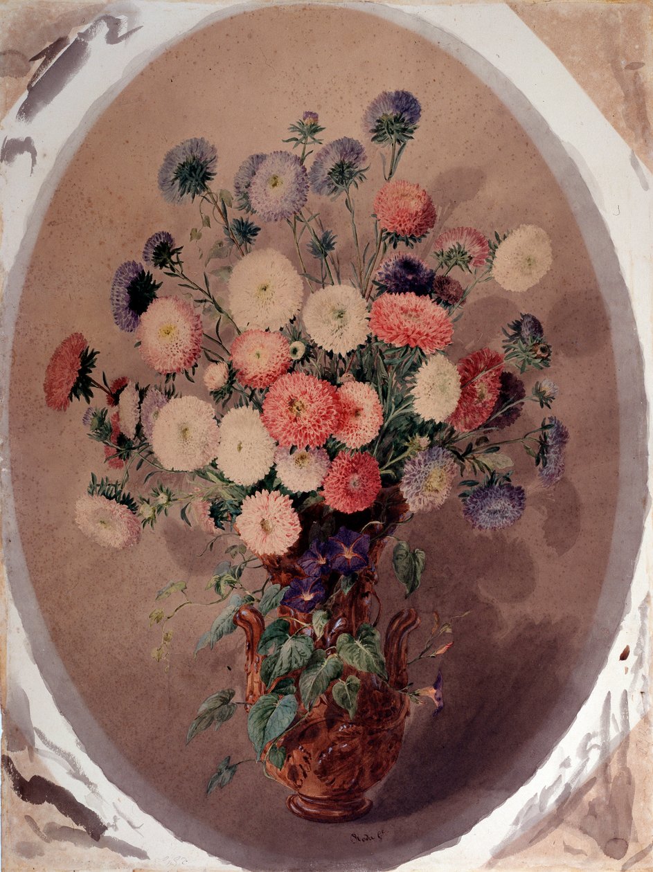 ヒナギクの房 水彩画 ジュゼッペ・ローダ作 (19世紀) 1863年 薄暗い 70x51 cm Genes, Galleria d