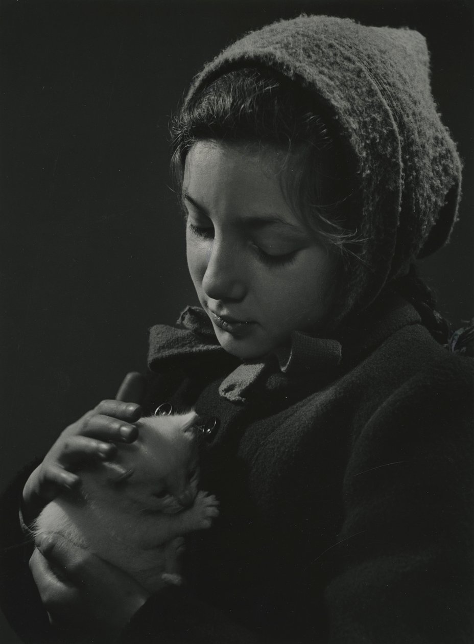 白い子猫を抱く少女。1950年代初期 作： ゴッドフリー・マクドミニク