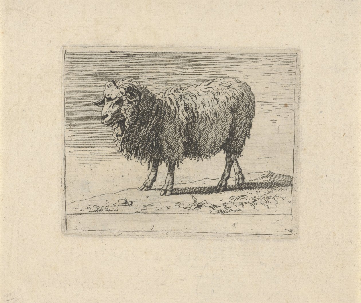 RAM いろいろな動物（シリーズタイトル） 作： Govert van der Leeuw