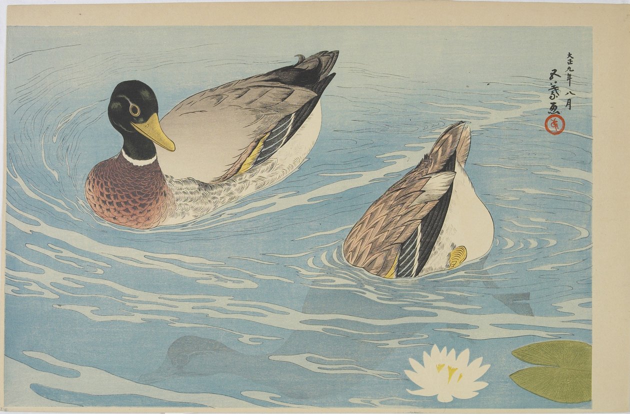 1920年8月、アヒル 作： 橋口五葉