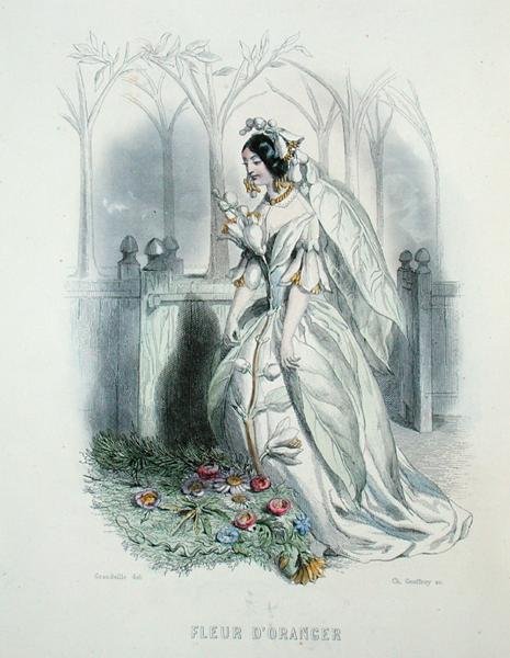 シャルル・ジェフロイ（1819-82）が彫った「アニメの花」より「オレンジの花」。 作： グランドビル