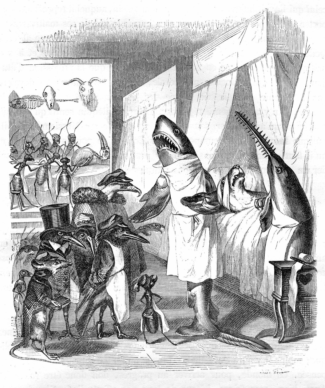 漫画魚座 - 医者：Grandville engraving, from the book "Private and public life of animals (Les animaux ints par eux memes)", Hetzel edition 1867 p. 551 - 病人の枕元にいるサメとノコギリザメ。 作： グランヴィル (1803-47)