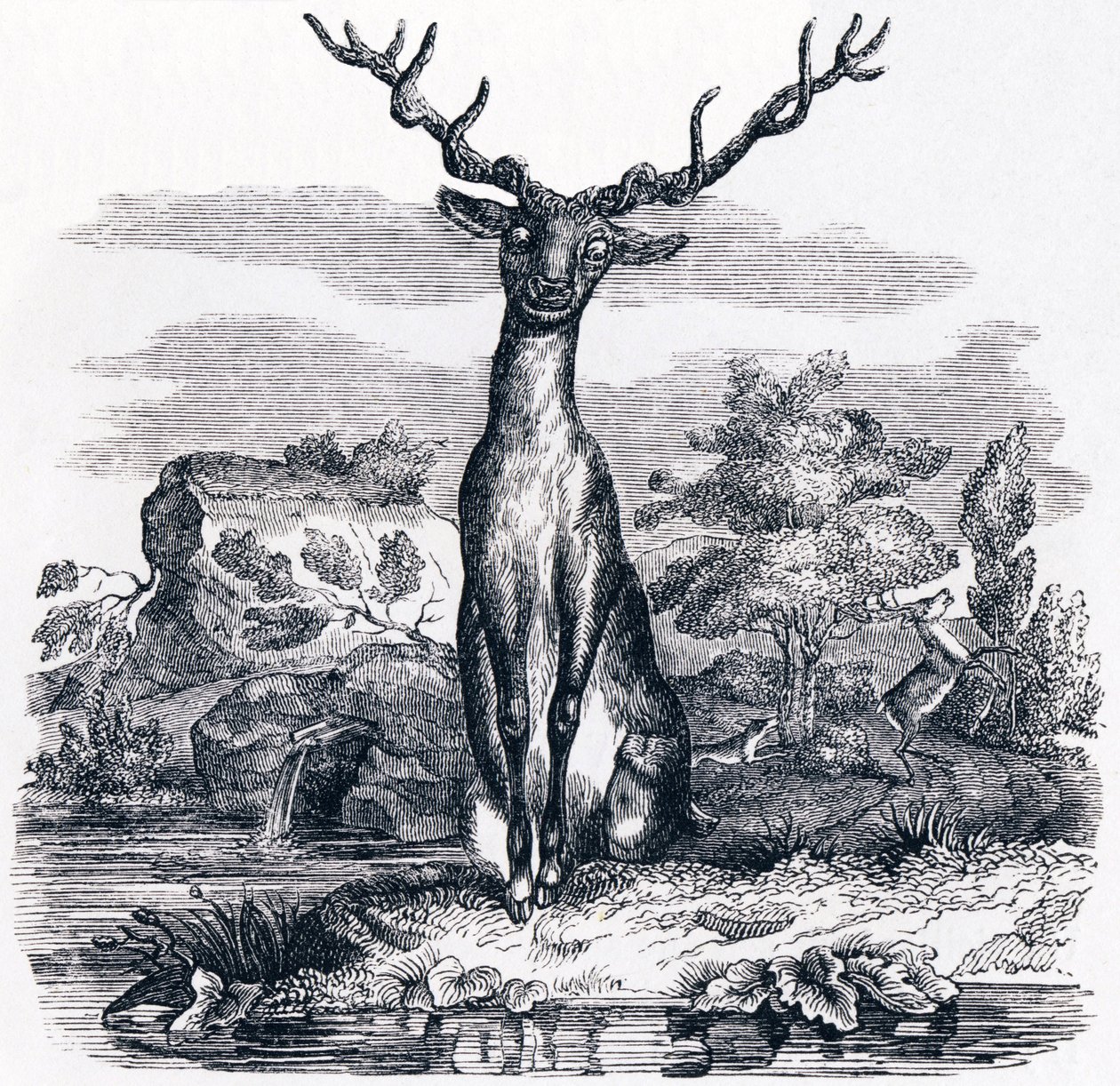 水の中で自分を見ている鹿（Le cerf se voyant dans l