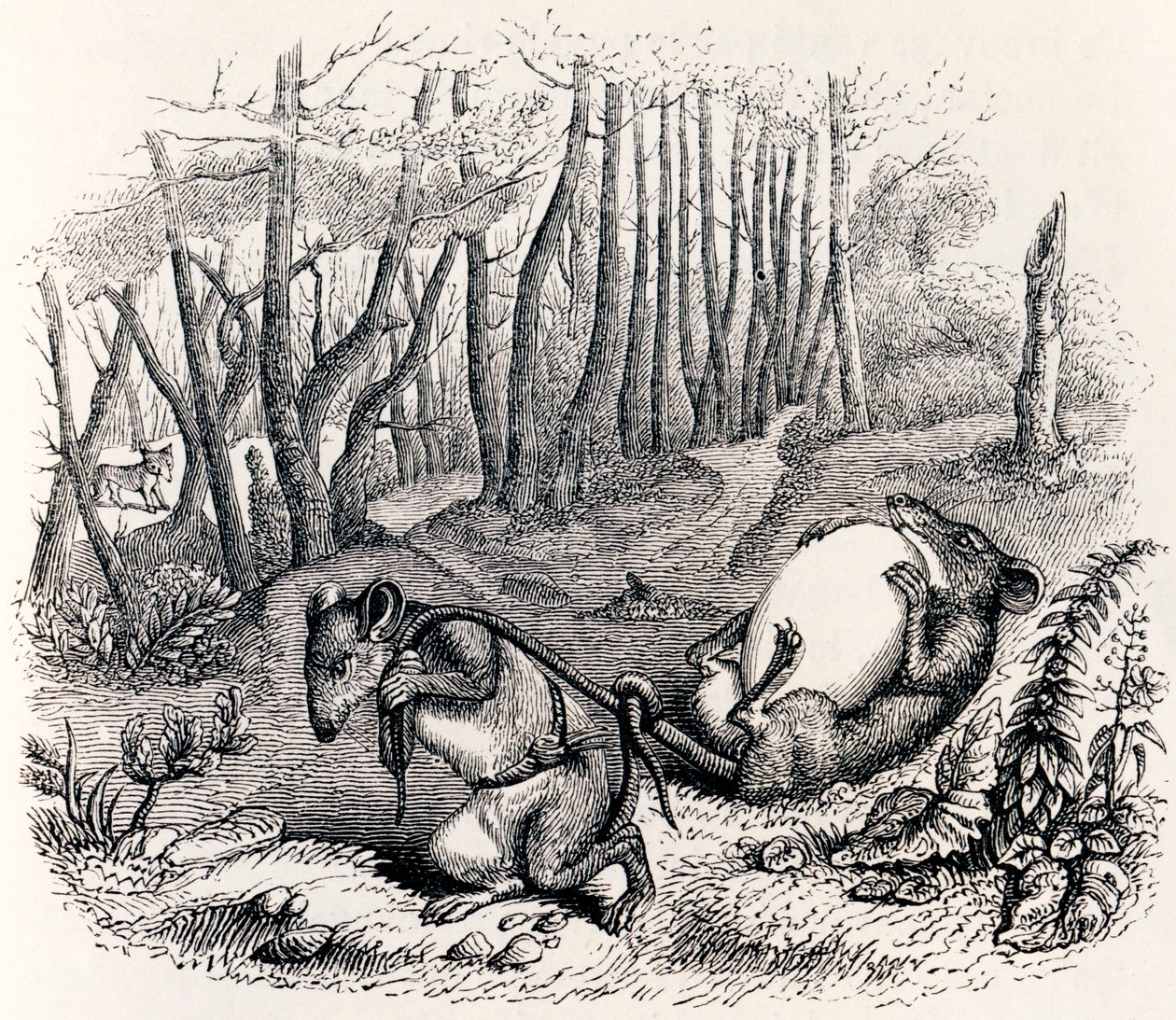 二匹のネズミとキツネと卵（Les deux rats, le renard et l