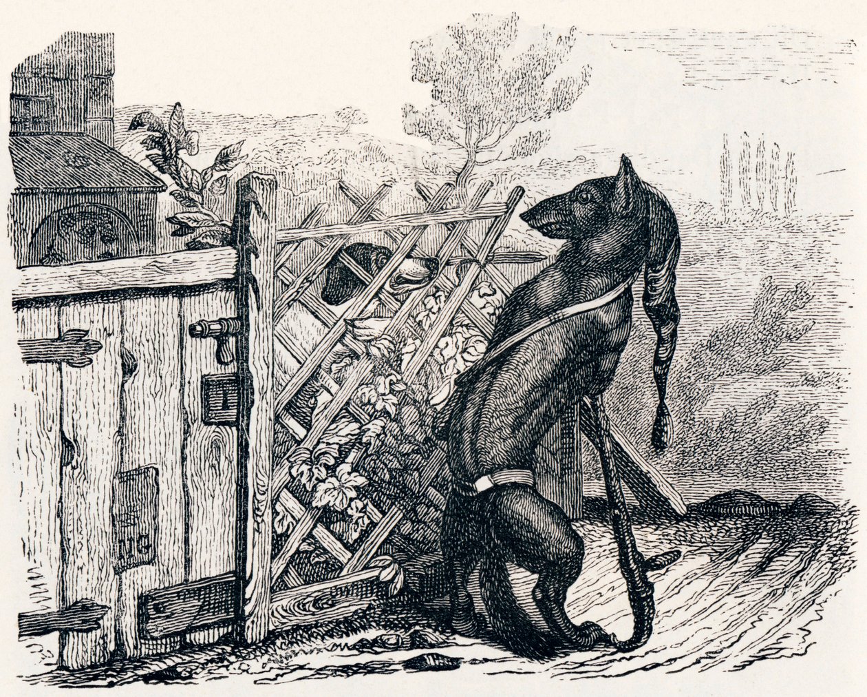 オオカミとやせっぽちの犬（Le loup et le chien maigre） - La Fontaineの寓話 作： グランドビル