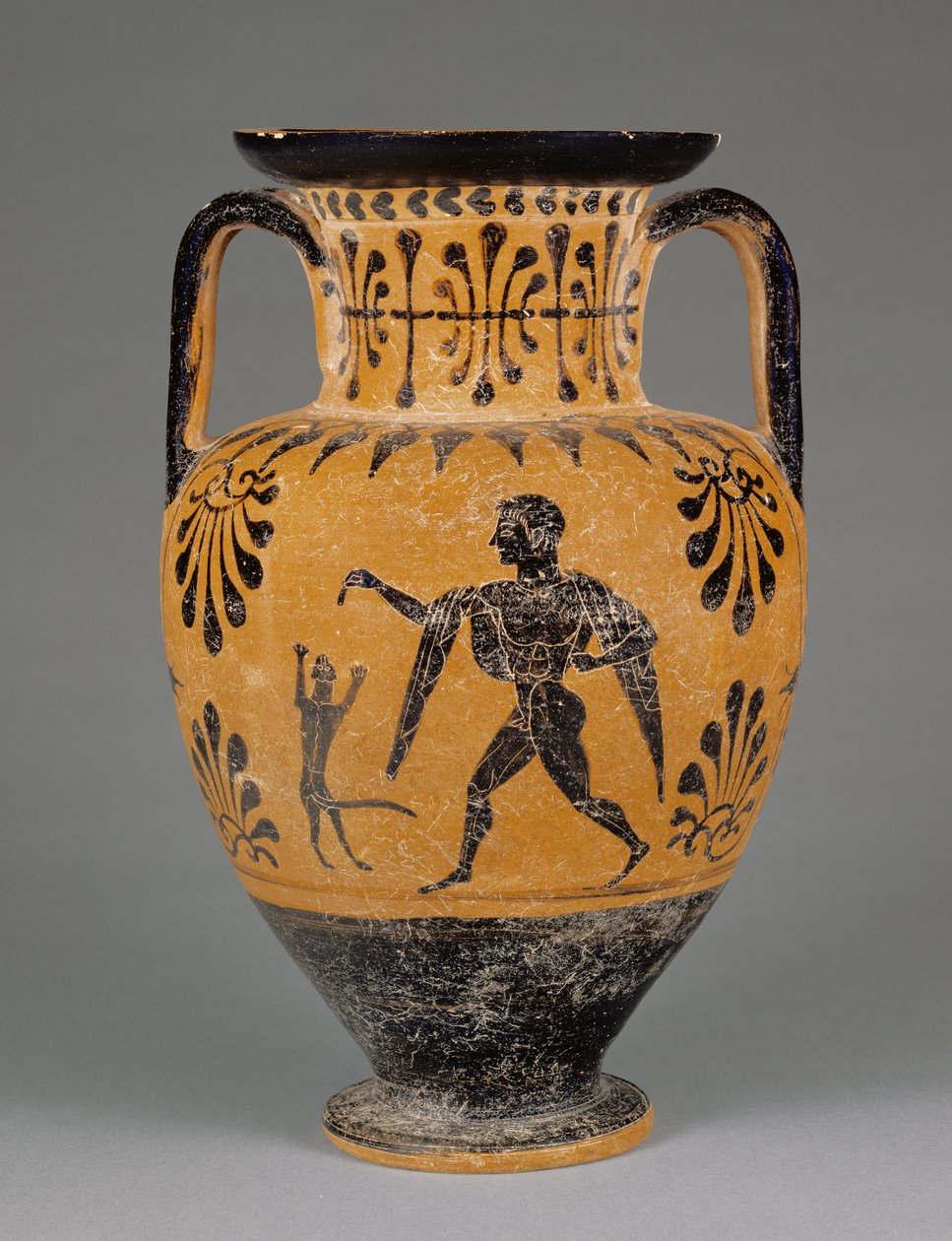 エトルリア黒像式首アンフォラ、紀元前490年頃（テラコッタ） 作： ギリシャ語