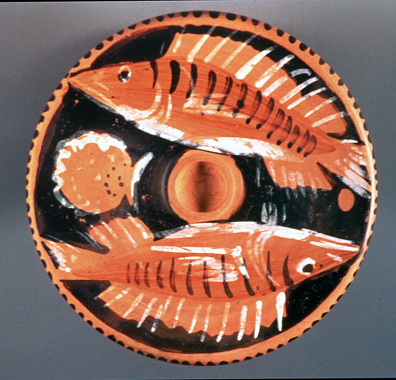 2匹の魚を描いたプレート、紀元前350年（セラミック） 作： ギリシャ語