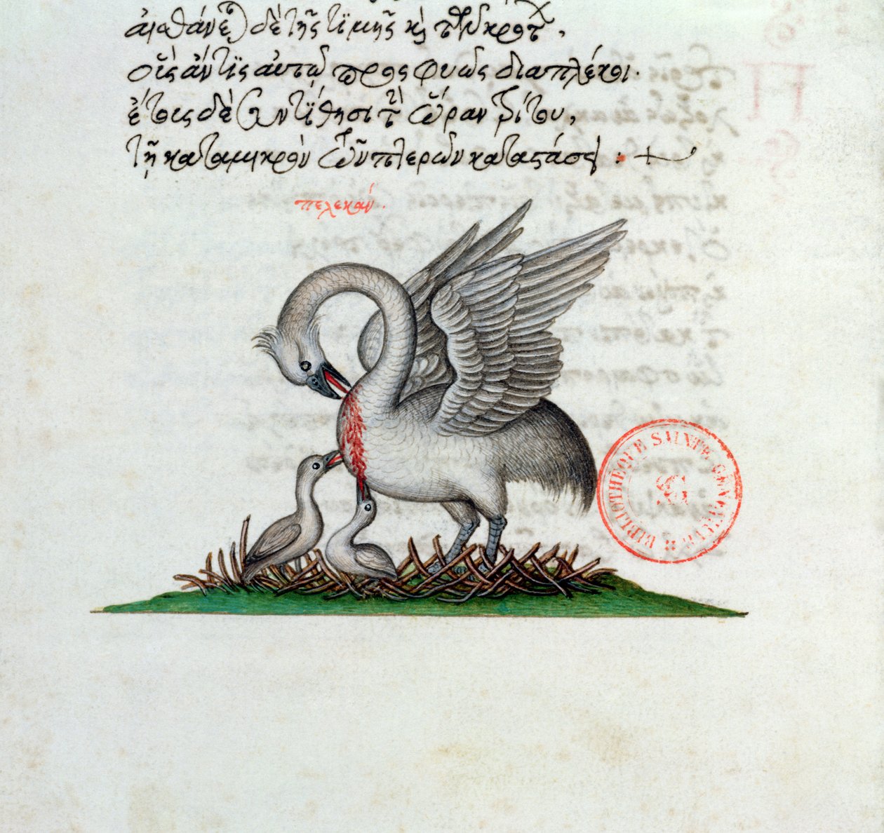 Ms 3401マヌエルフィレスの獣医からの、1566年 作： ギリシャ語学校