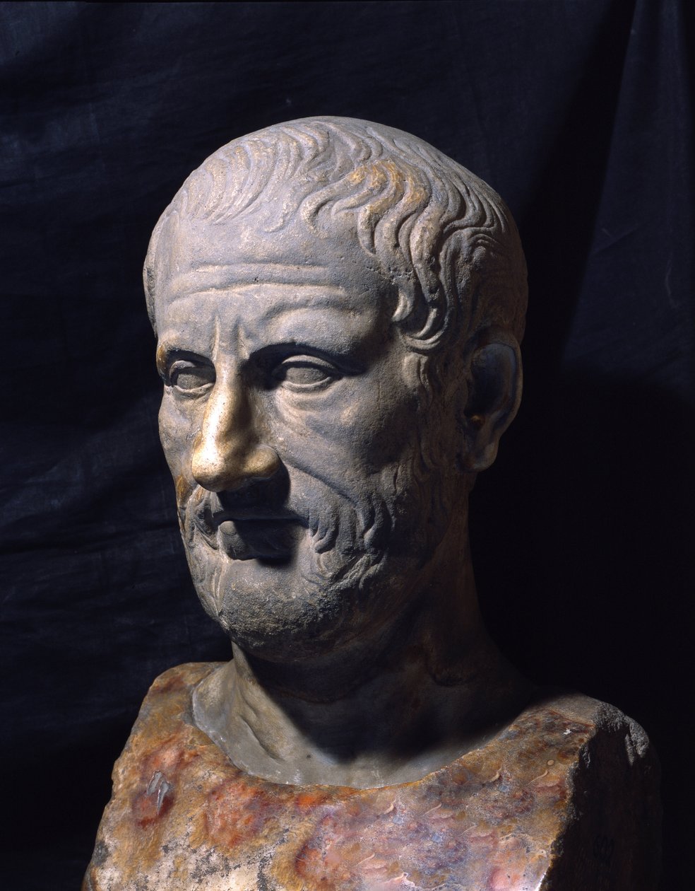 ギリシャの哲学者テオフラステ（紀元前372～287年）を表現したもの。 作： ギリシャ語またはローマ語