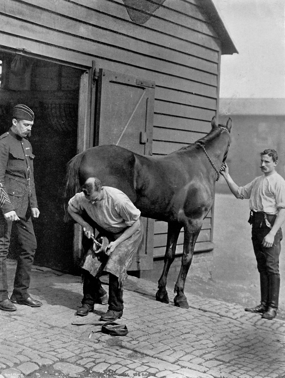 ロイヤルホースガードのファリアー少佐、1896年。 作： グレゴリーとCo