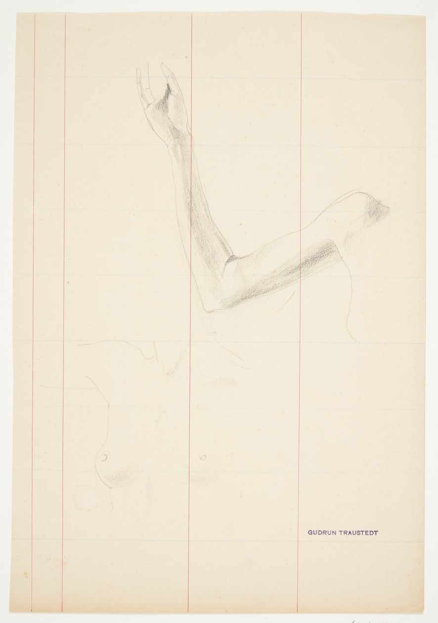 女性の腕と胴体の研究 作： Gudrun Traustedt