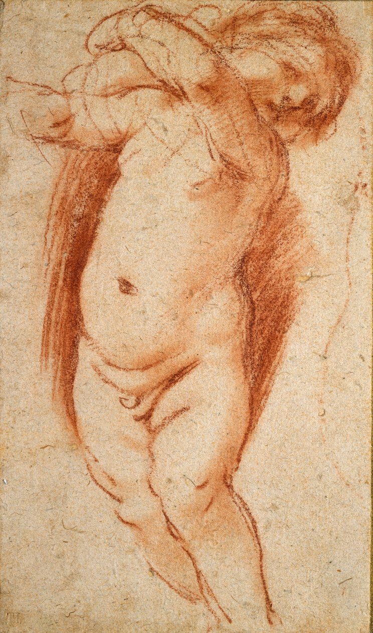 A Putto、1620-1624 作： グエルチーノ