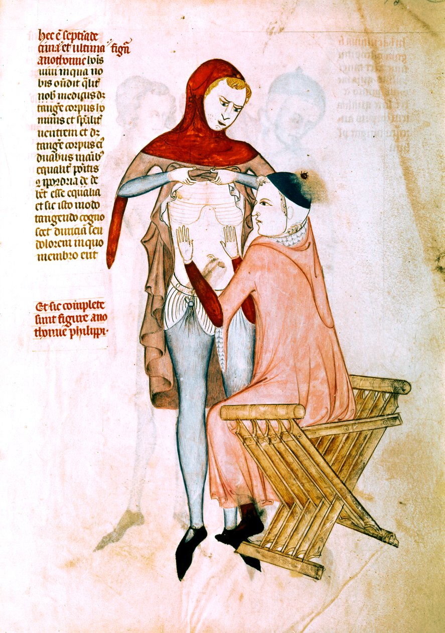 診察する医師（ミニチュア） 作： Guido da Vigevano da Pavia