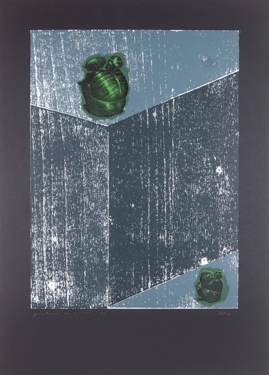 Invisible Room nº8, The Dream Of My Soul, 2019（木版画、シルクスクリーン） 作： ギルヘルム・ポンテス