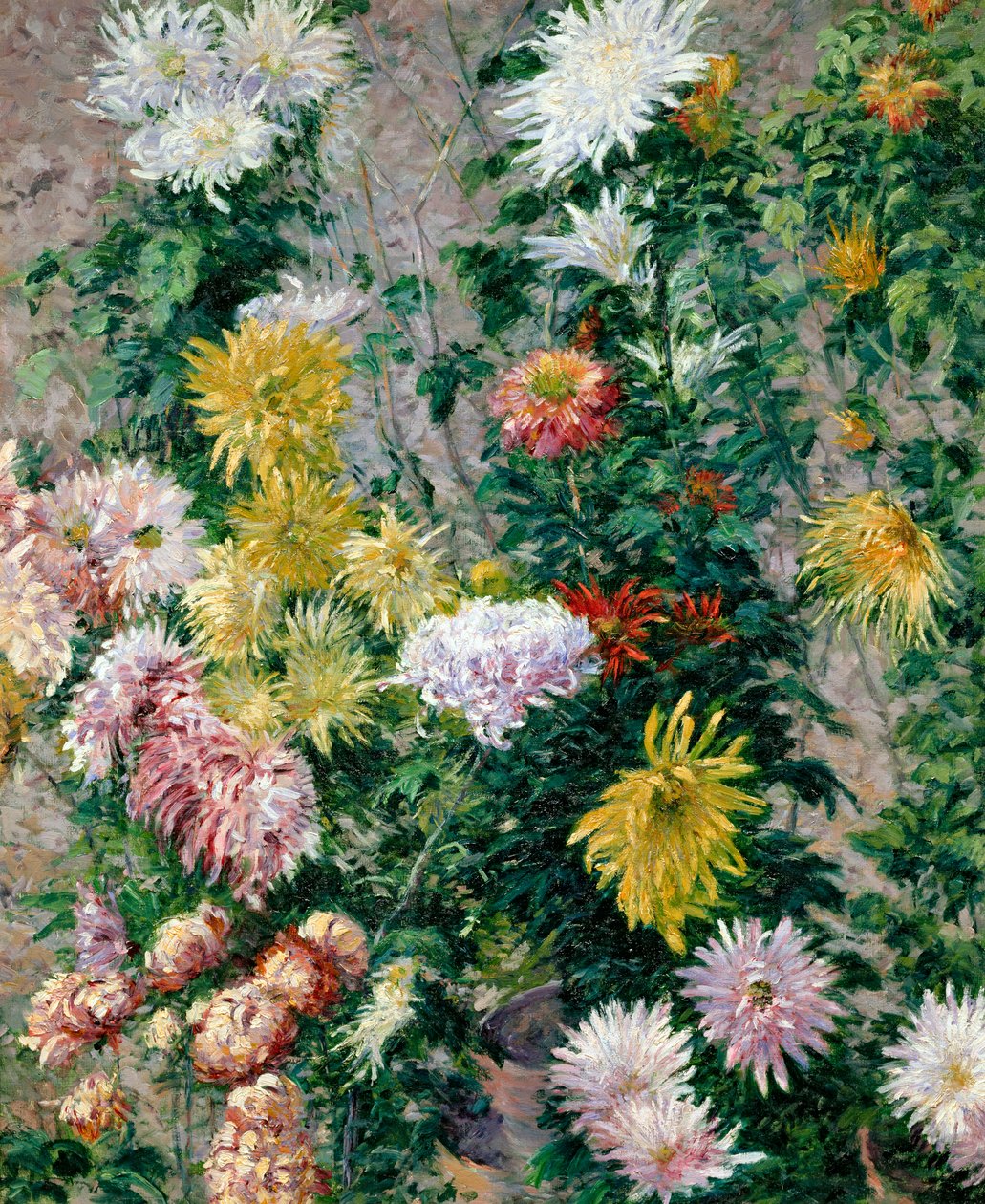 白と黄色の菊、1893 作： グスタフ・カイユボット