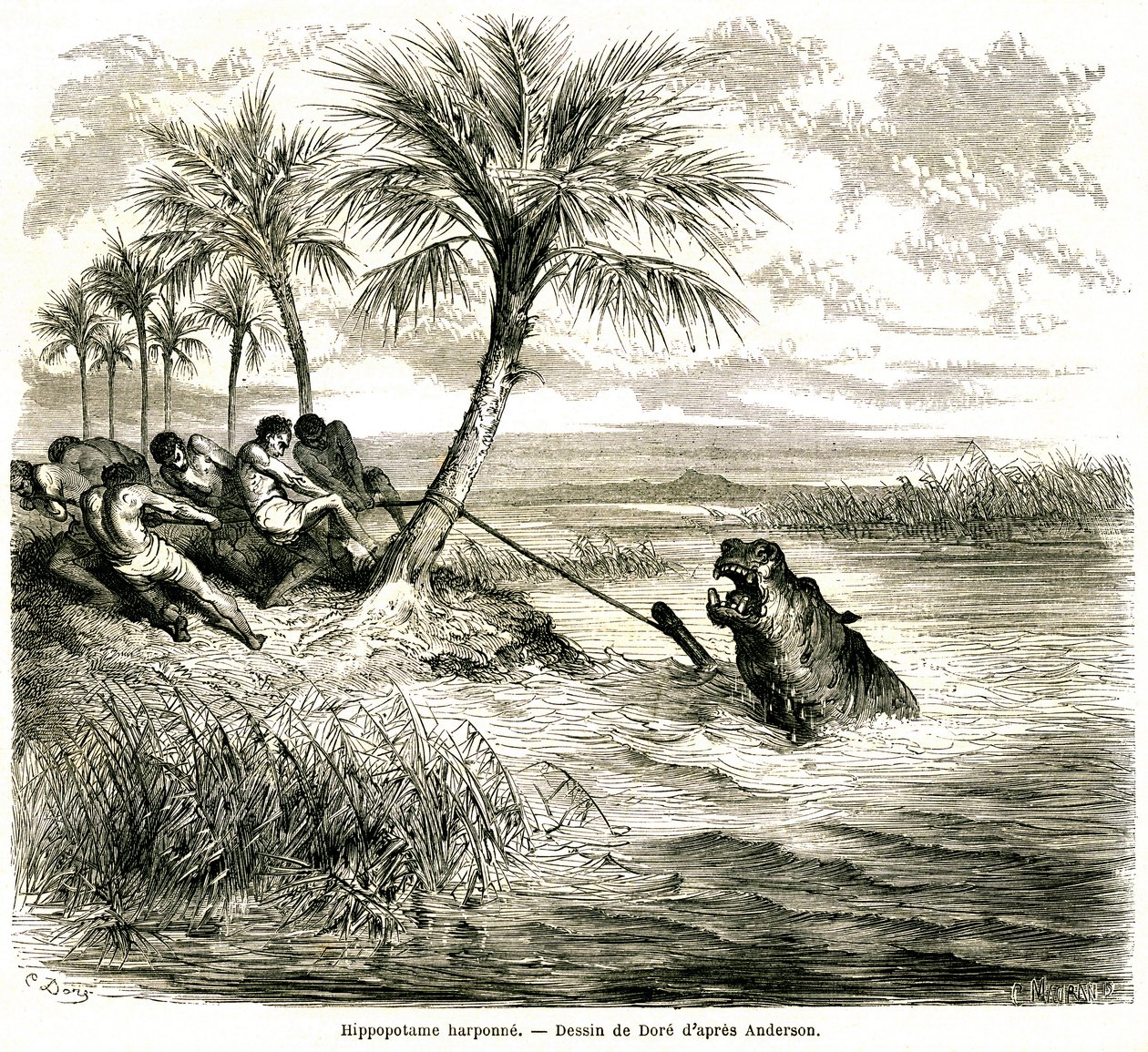 ンガミ川の支流テオゲ川での狩猟。カバの銛。ギュスターヴ・ドーレ