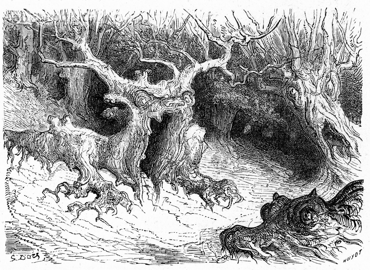 オッソー渓谷の怪物的なブナ、擬人化された怪物の木。1860年、アシェット社刊『Hippolyte Taineのピレネーへの旅』の挿絵を描いたギュスターヴ・ドーアのエングレーヴィング。 作： ギュスターヴ・ドレ
