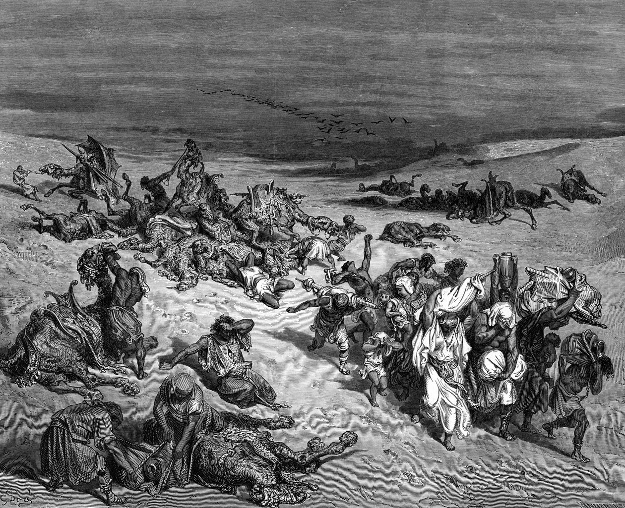 疫病」 エジプトの七つの災いの一つ：出エジプト記。ギュスターヴ・ドーレ（1832-1883）フランスの画家、『聖書』（ロンドン 1866）の挿絵画家。木版画。 作： ギュスターヴ・ドレ
