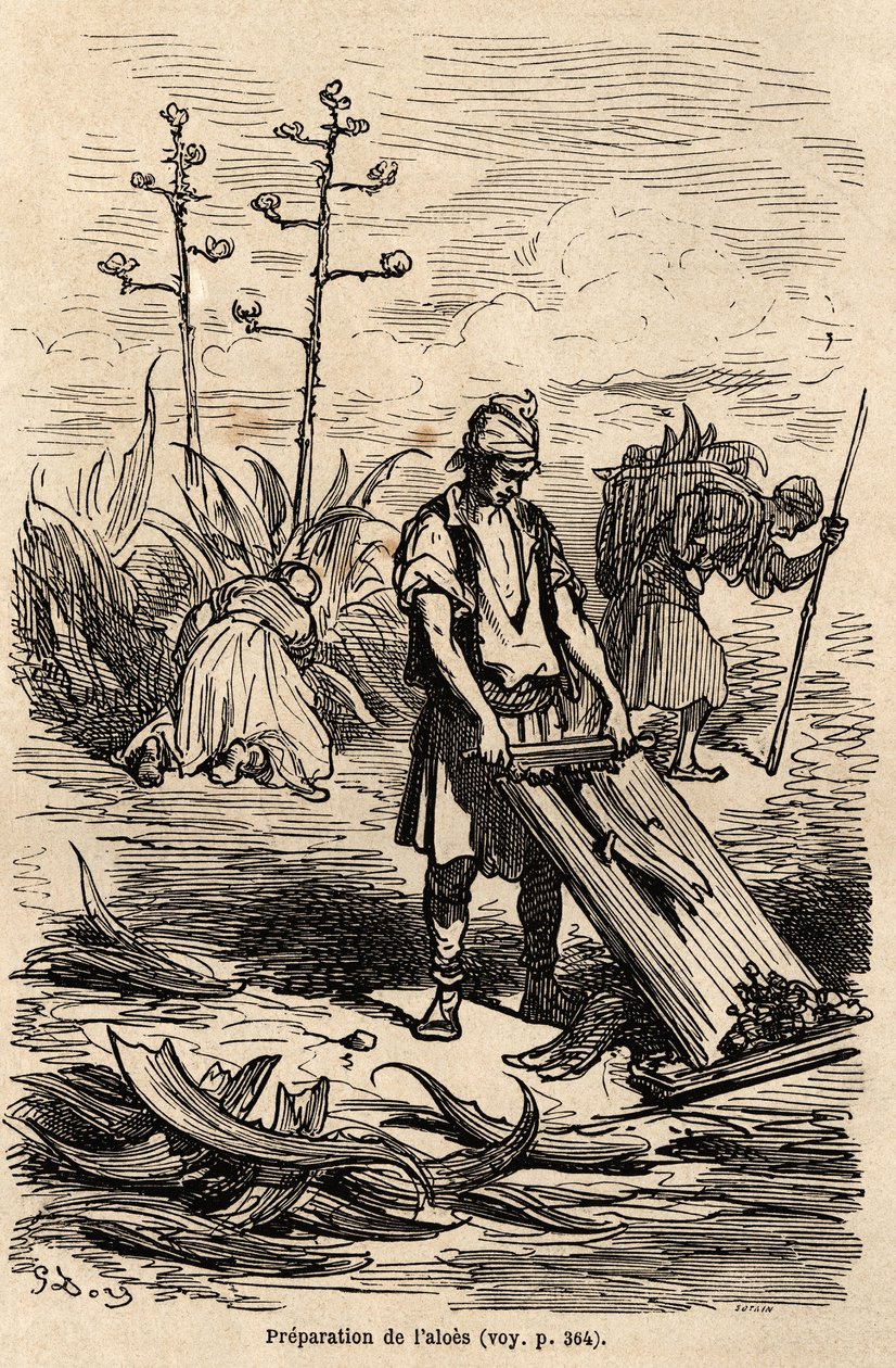1862年にC.Davillierと共にスペインを訪れた際に描いたGustave Dore（1832-1883）の絵。Le tour du monde "に掲載された版画。 作： ギュスターヴ・ドレ