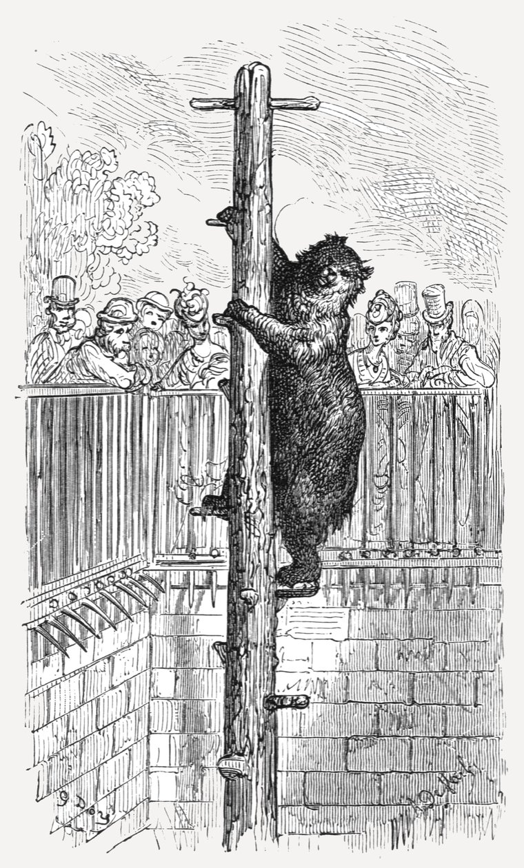 「ベア ピット - 動物園」、1872 年。 作： ギュスターヴ・ドレ