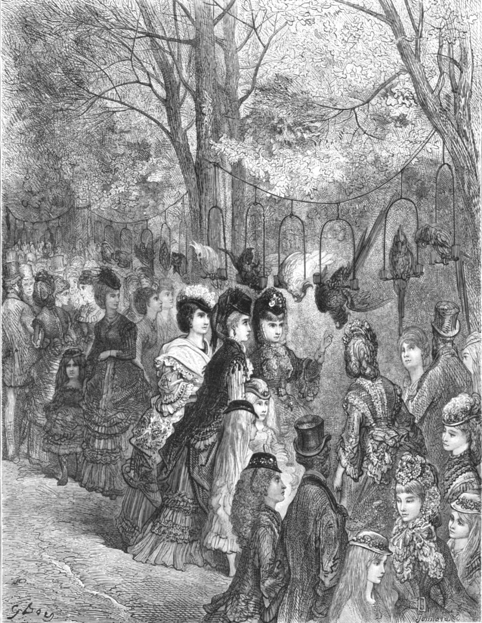 「動物園 - オウムの散歩道」、1872 年。 作： ギュスターヴ・ドレ