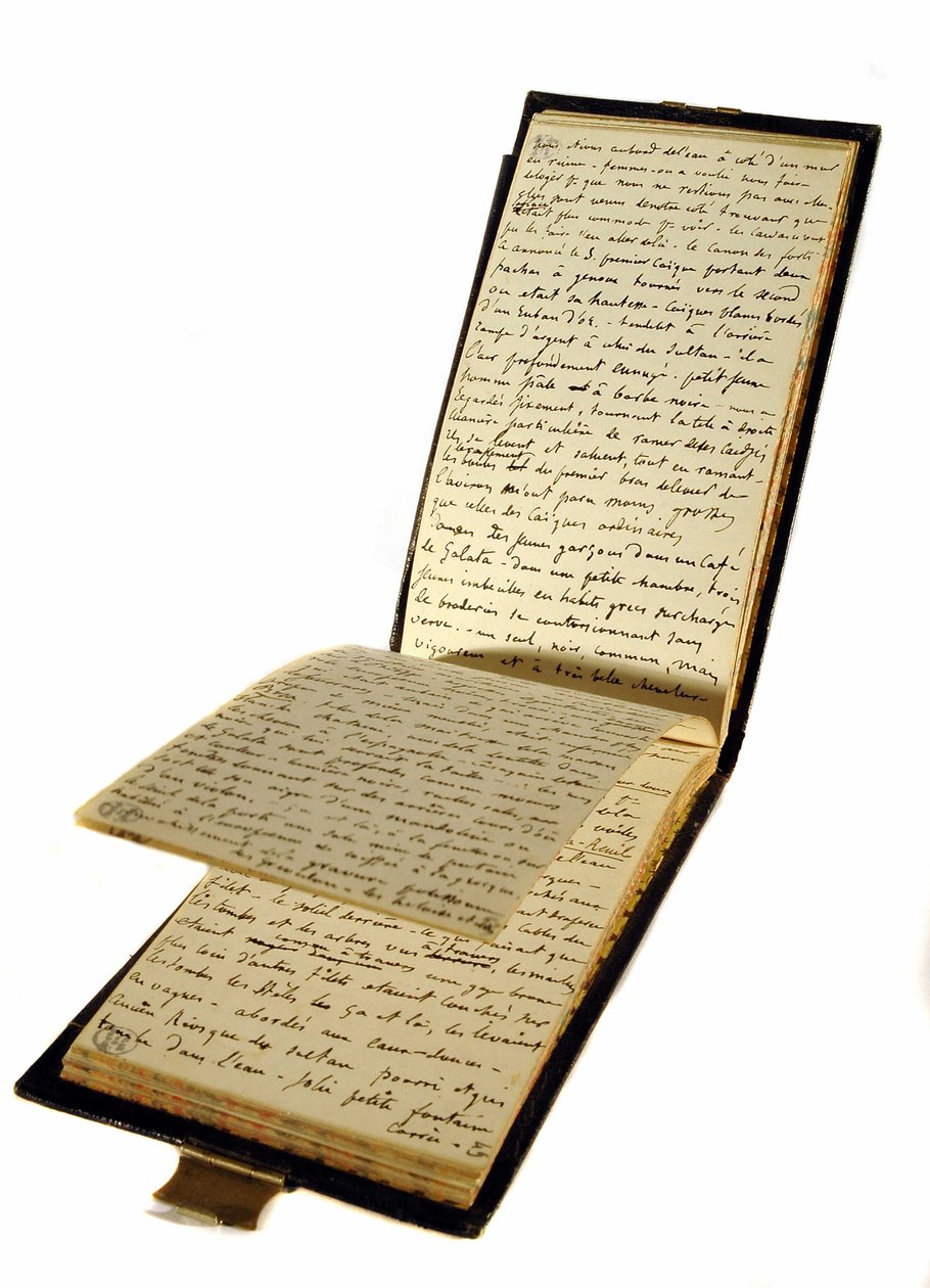 フランスの作家Gustave Flaubert（1821-1880）の旅行記、歴史的書庫の 作： ギュスターヴ・フローバート