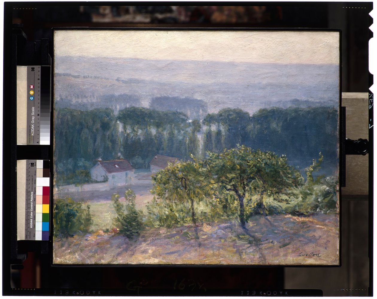 午後遅く、Giverny、c.1905-13（キャンバスに油彩） 作： ガイ・ローズ