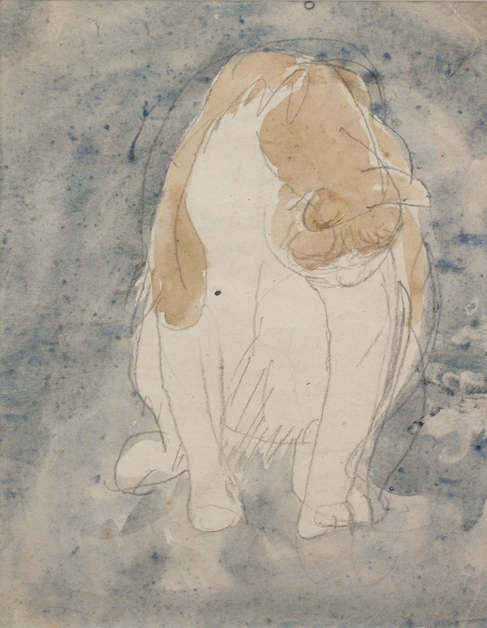 猫の習作 1910-20年頃 紙に水彩、黒鉛鉛筆 作： グウェン・ジョン