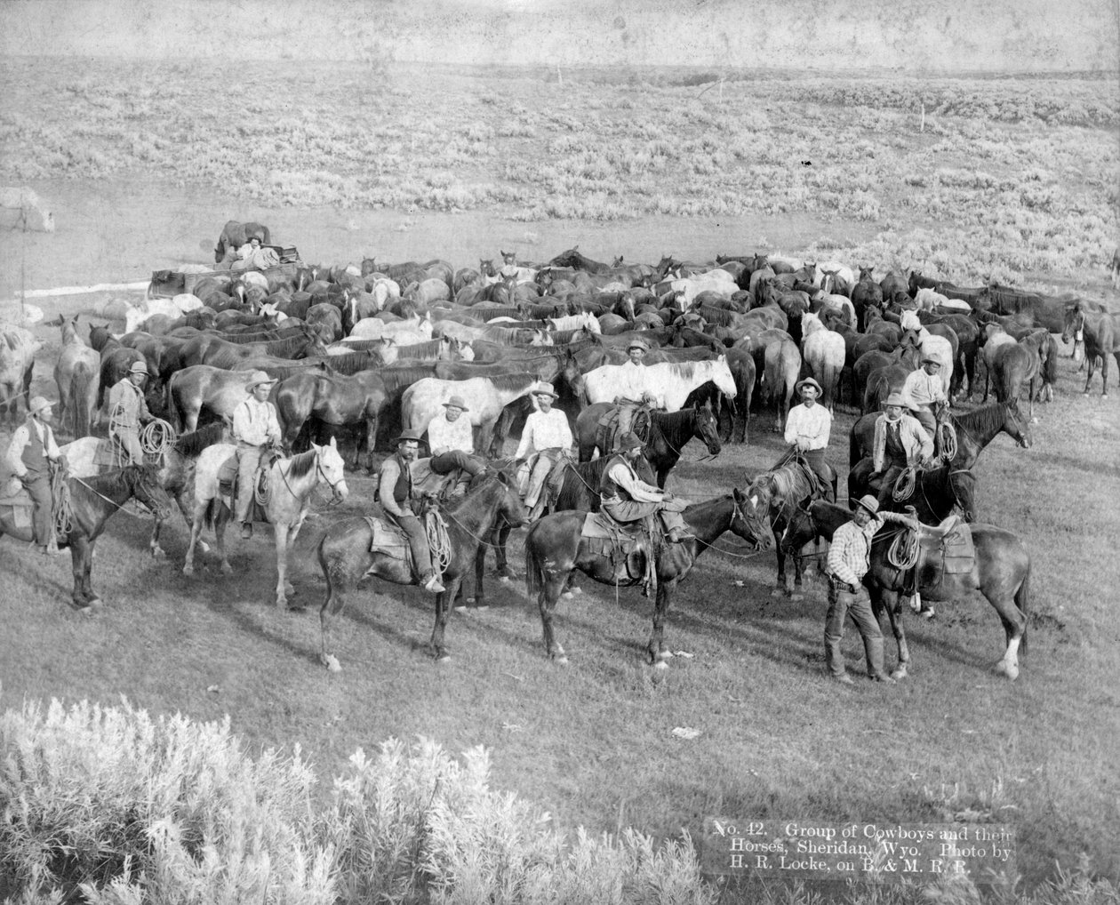 カウボーイとその馬のグループ、シェリダン、ワイオミング州、1890年頃 作： HRロック
