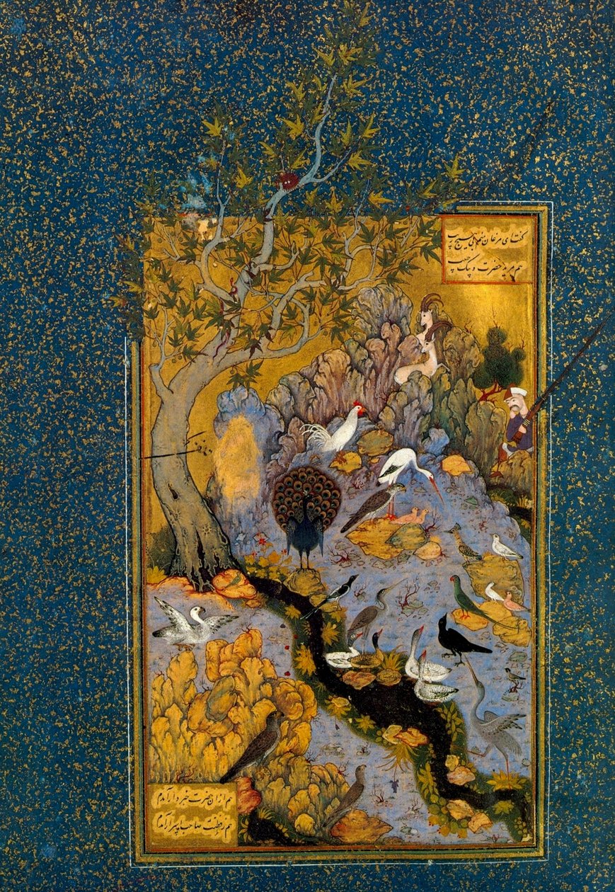 Mantiq al-Tayr The Languages の Folio、Attar 作、1600 年頃。 作： ハビブアッラー