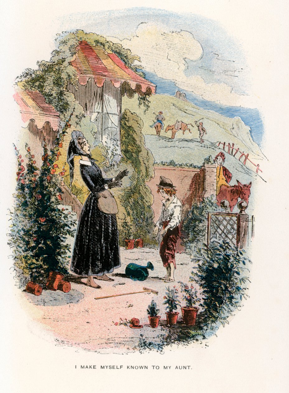  作： ハブロット・ナイト（1815-92）（後）ブラウン