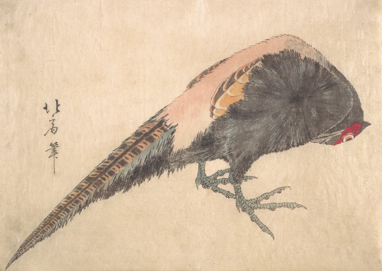 鳥、1830年代。 作： 白山人北井