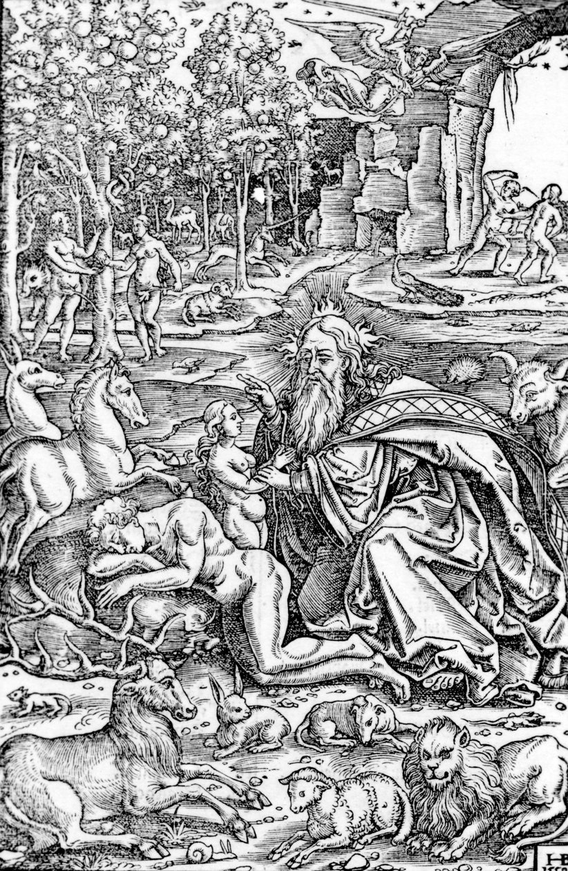 1550年のルター聖書にあるイブの創造 作： ハンス・ブロサマー