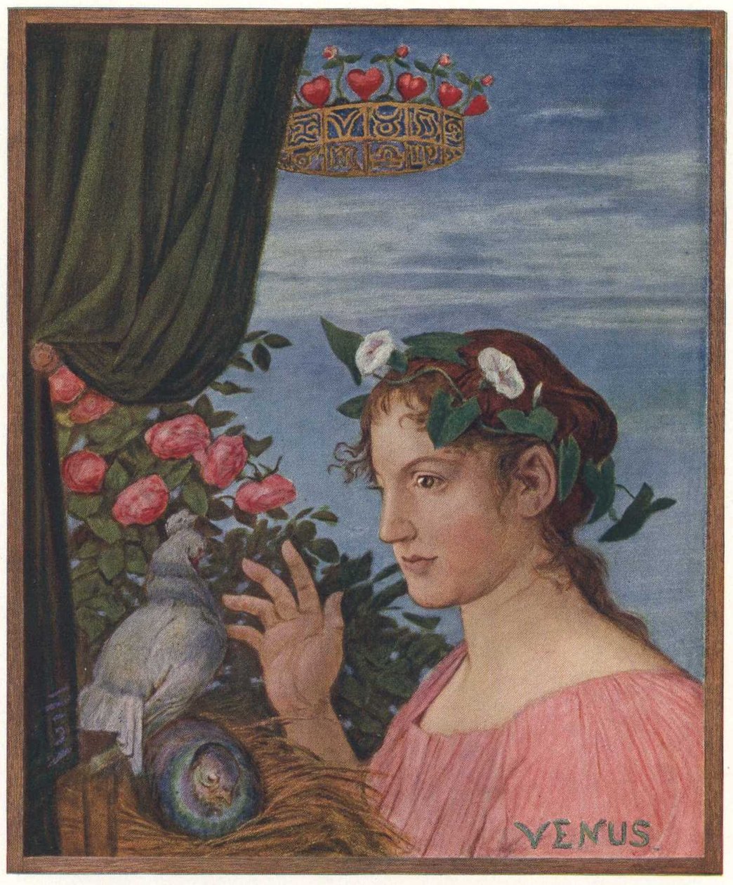 Venusn英語：Venusn 作： ハンス・トーマ