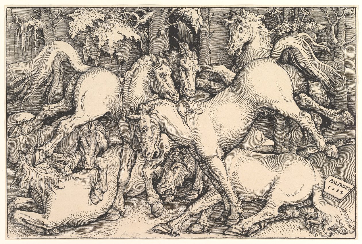 7頭の馬のグループ、1534年。 作： ハンス・バルドゥン